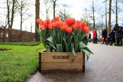 2018: Niederlande