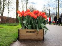 niederlande_05