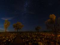 australien-035