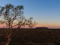 australien-047