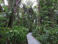 australien-054