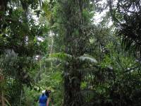 australien-055