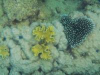 australien-060