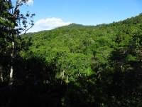 australien-064