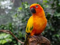 australien-069