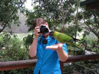 australien-072
