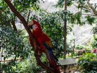 australien-073