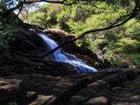 australien-076