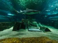 australien-095
