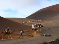 Dromedar reiten im Timanfaya Nationalpark