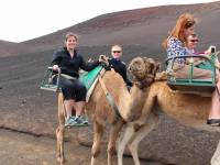 Dromedar reiten im Timanfaya Nationalpark