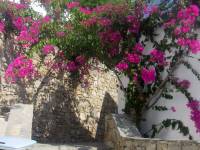 Mykonos 647