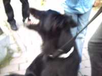 2010-08-09-ds-digicam-023