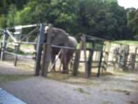 2010-08-09-ds-digicam-025