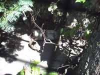 2010-08-09-ds-digicam-029