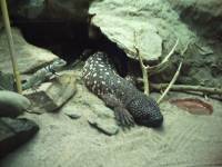 2010-08-09-ds-digicam-035