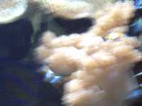 2010-08-09-ds-digicam-046