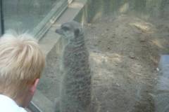 2010: Opel Zoo (Bilder von Jaqueline)