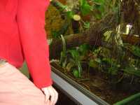 2010-08-09-opel-zoo-067