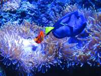 stockholm-452-skansen-aquarium