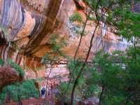 03-zion-044