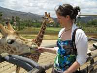 02-safari-park-086