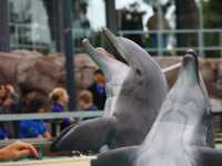 02-seaworld-005