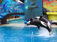 02-seaworld-049