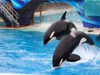 02-seaworld-062
