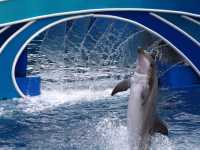 02-seaworld-090