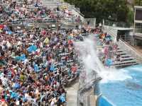 02-seaworld-206