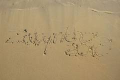 2010: Zakynthos